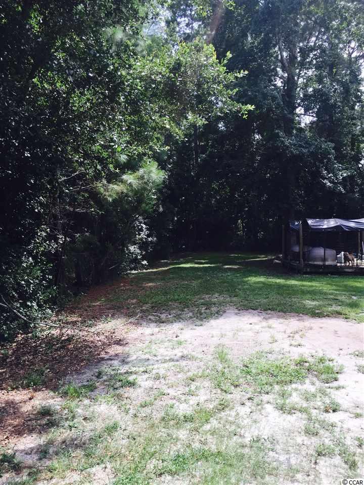 1081 Lulu Loop Murrells Inlet, SC 29576 - Photo 15 of 16