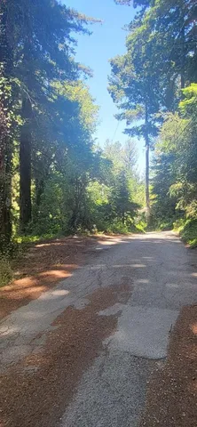 a view of a yard with yellow lighting