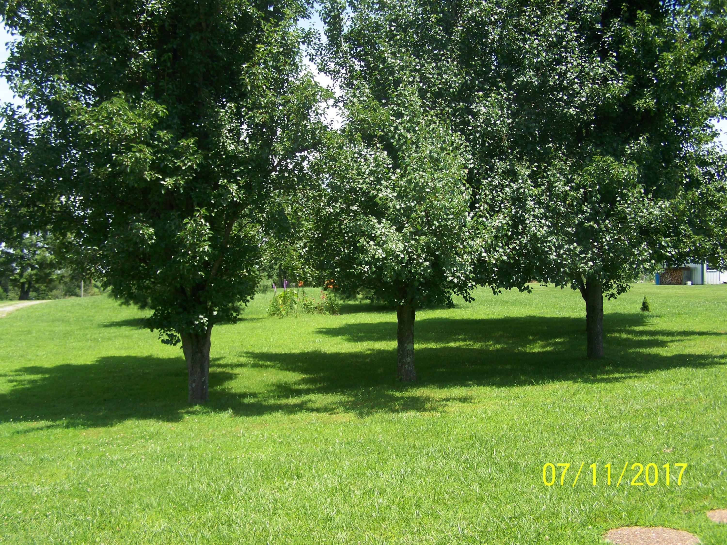 65 Rogers Road Crossville, TN 38571 - Photo 23 of 24 101_0596