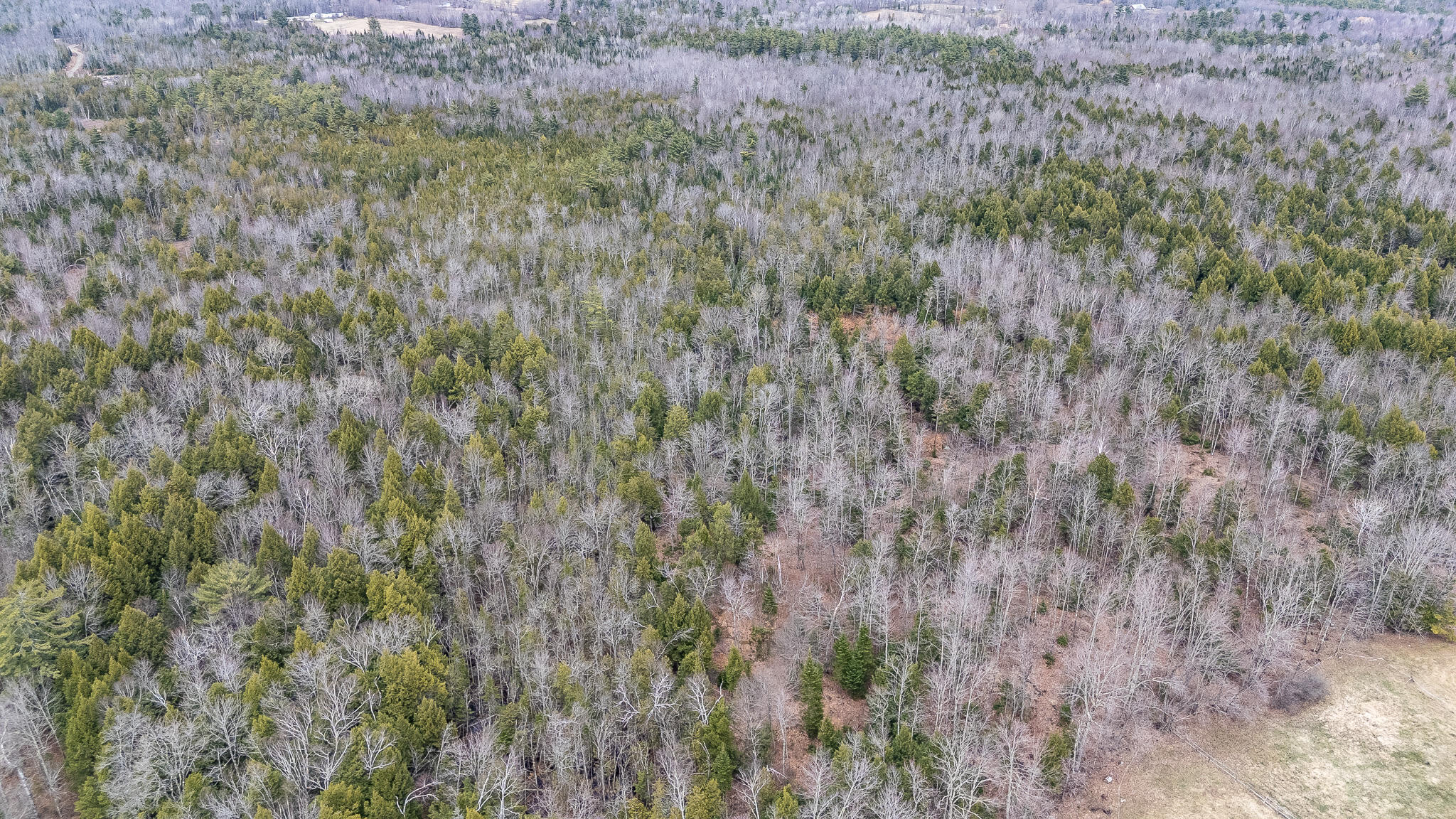 191 Wyman Road Palmyra, ME 04965 - Photo 84 of 94 dji_fly_20260414_144410_0018_17762004642