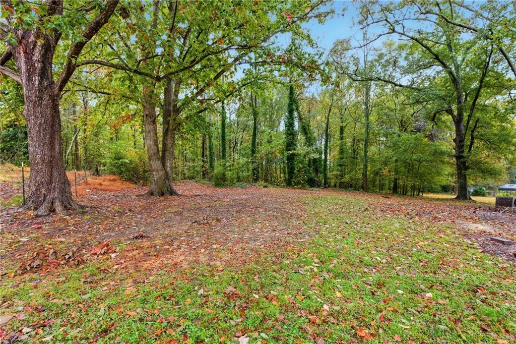 151 Richardson Street Toccoa, GA 30577 - Photo 26 of 36 a view of a yard with trees