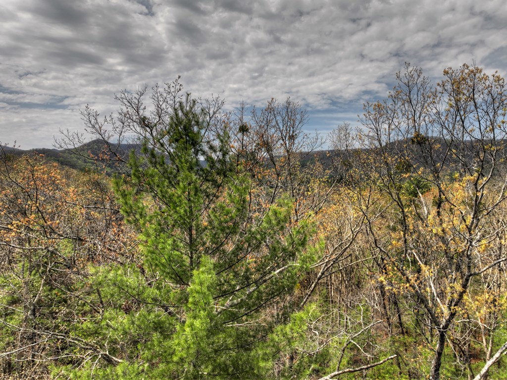 9.13-ac Hells Hollow Road Blue Ridge, GA 30513 - Photo 50 of 59 Gallery Image 50