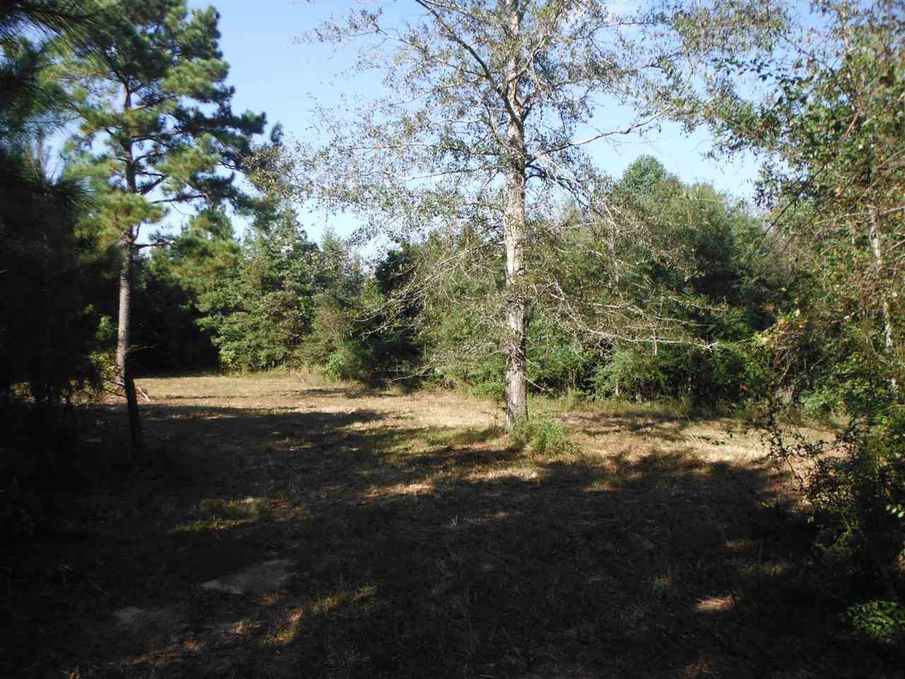 1 Newton Caney Creek Road Decatur, MS 39327 - Photo 23 of 35 Photo 23