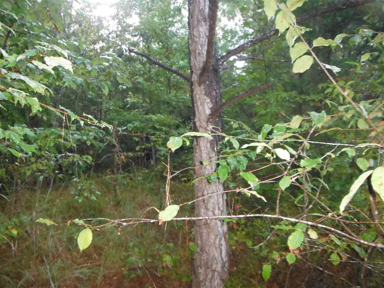 1 Newton Caney Creek Road Decatur, MS 39327 - Photo 3 of 35 Photo 3