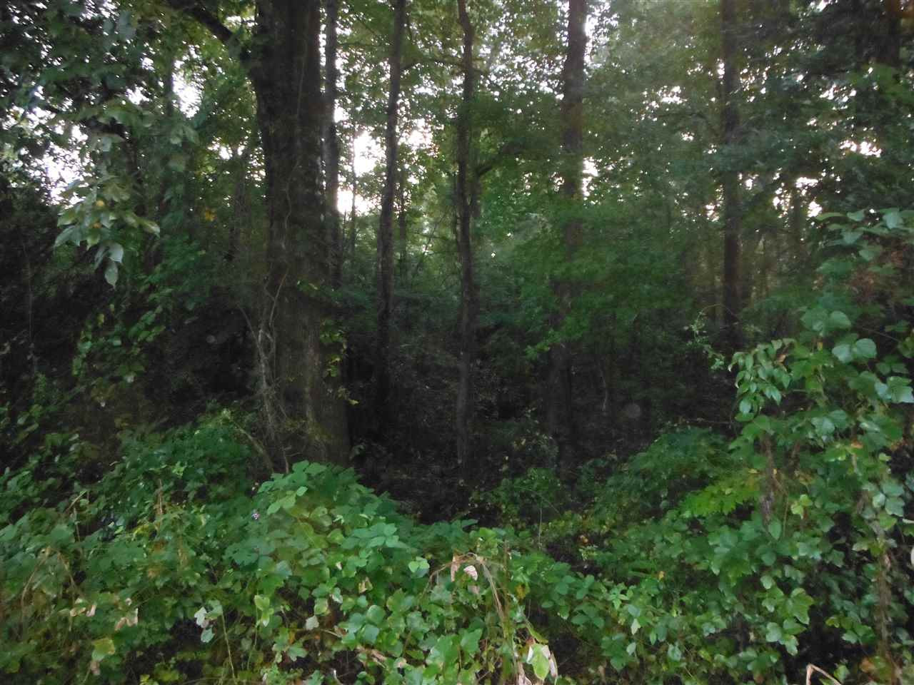 1 Newton Caney Creek Road Decatur, MS 39327 - Photo 7 of 35 Photo 7