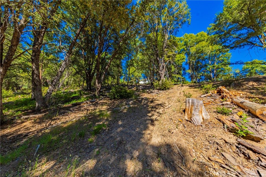 0 3 Springs Road Oakhurst, CA 93644 - Photo 4 of 20