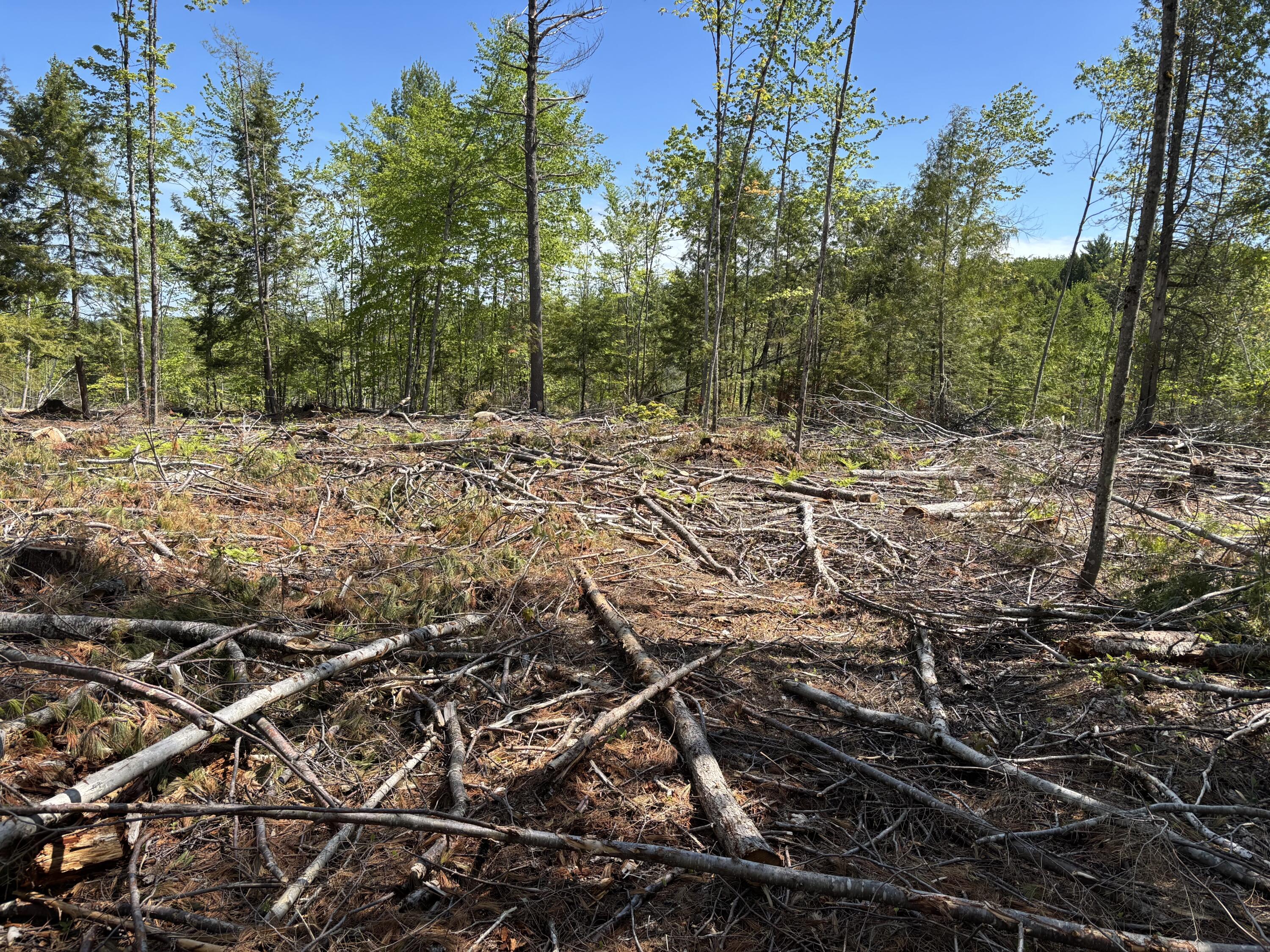 2-l 1 Off Bean Road Mercer, ME 04957 - Photo 7 of 14 IMG_2346