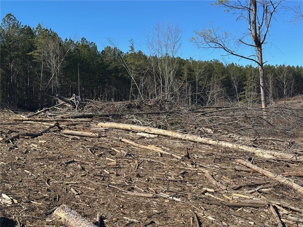 475 Larmon Forks Road Dahlonega, GA 30533 - Photo 11 of 16