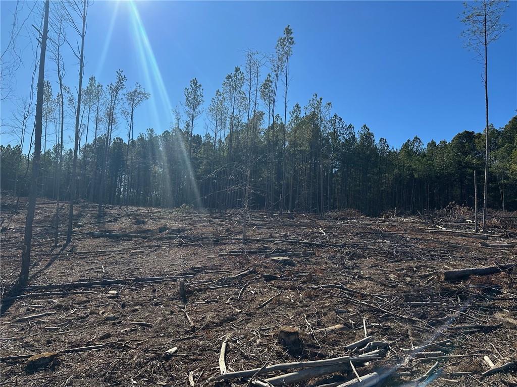 475 Larmon Forks Road Dahlonega, GA 30533 - Photo 13 of 16