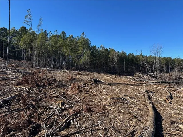 a view of a yard with wooden fence