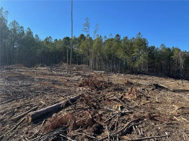 a backyard of a house