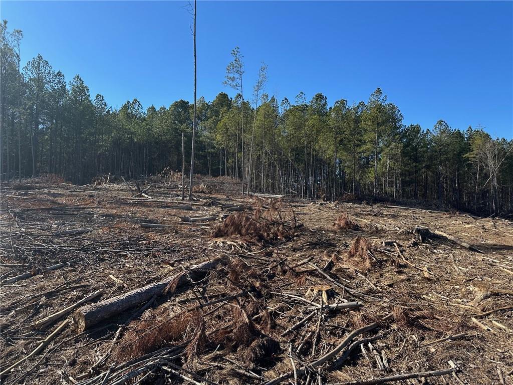 475 Larmon Forks Road Dahlonega, GA 30533 - Photo 15 of 16