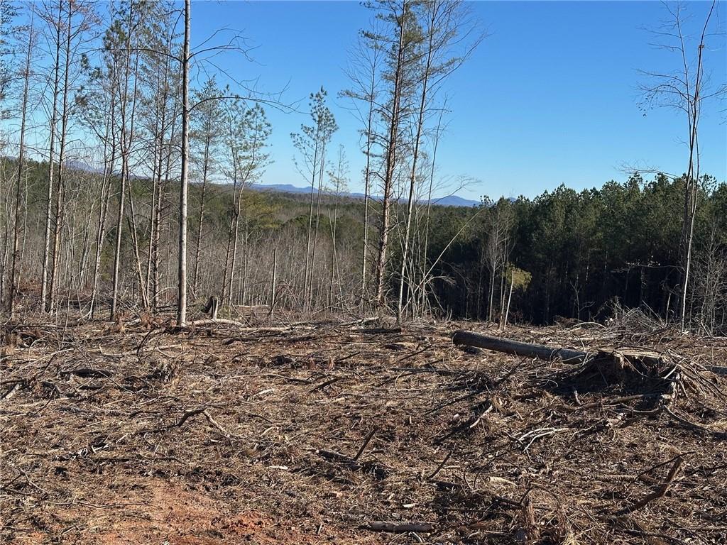 475 Larmon Forks Road Dahlonega, GA 30533 - Photo 16 of 16