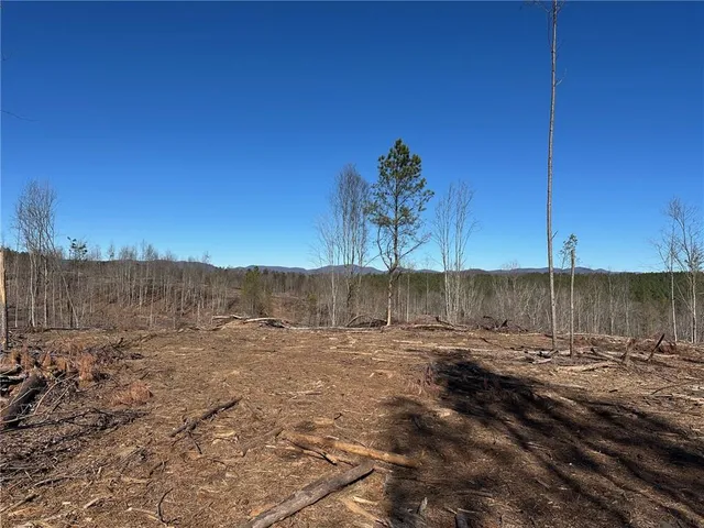a view of a barn with a yard
