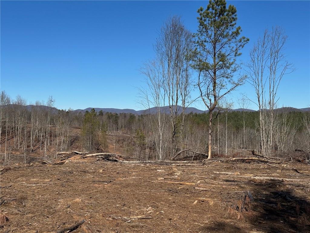 475 Larmon Forks Road Dahlonega, GA 30533 - Photo 3 of 16