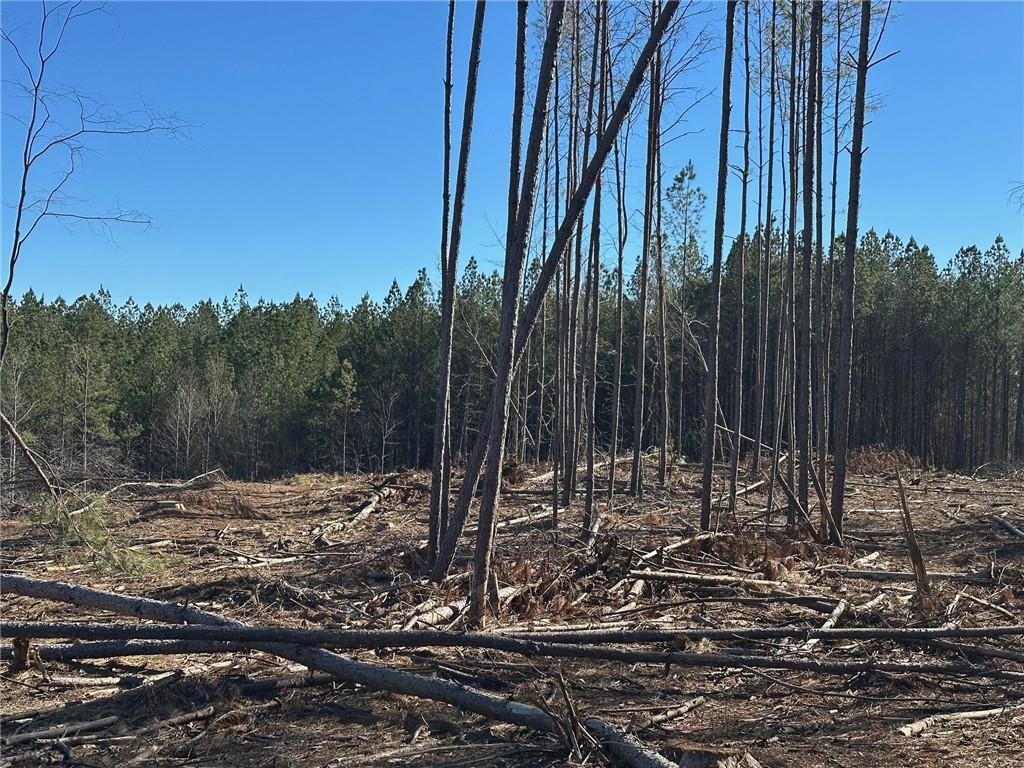 475 Larmon Forks Road Dahlonega, GA 30533 - Photo 4 of 16