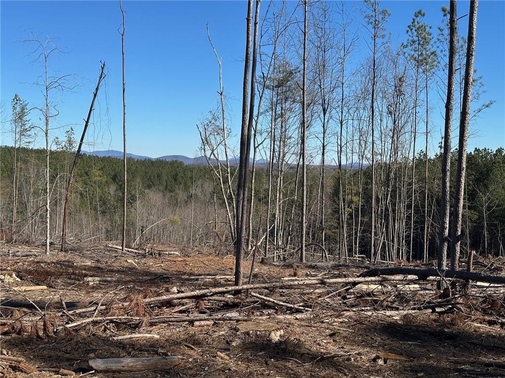 475 Larmon Forks Road Dahlonega, GA 30533 - Photo 5 of 16