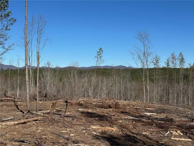 a view of a backyard of the house