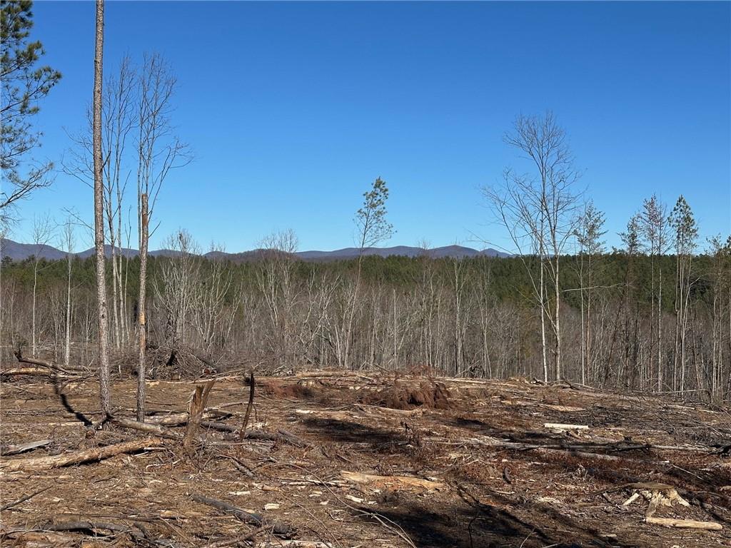 475 Larmon Forks Road Dahlonega, GA 30533 - Photo 6 of 16