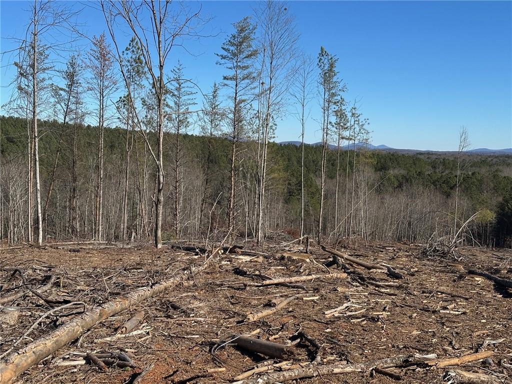 475 Larmon Forks Road Dahlonega, GA 30533 - Photo 9 of 16