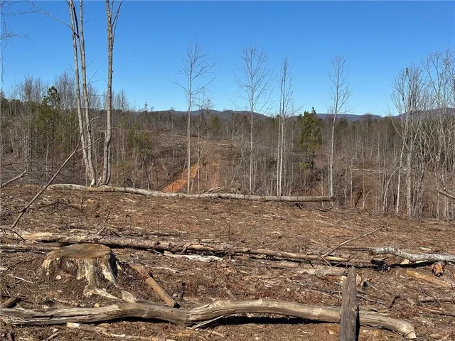 a view of a yard with wooden fence