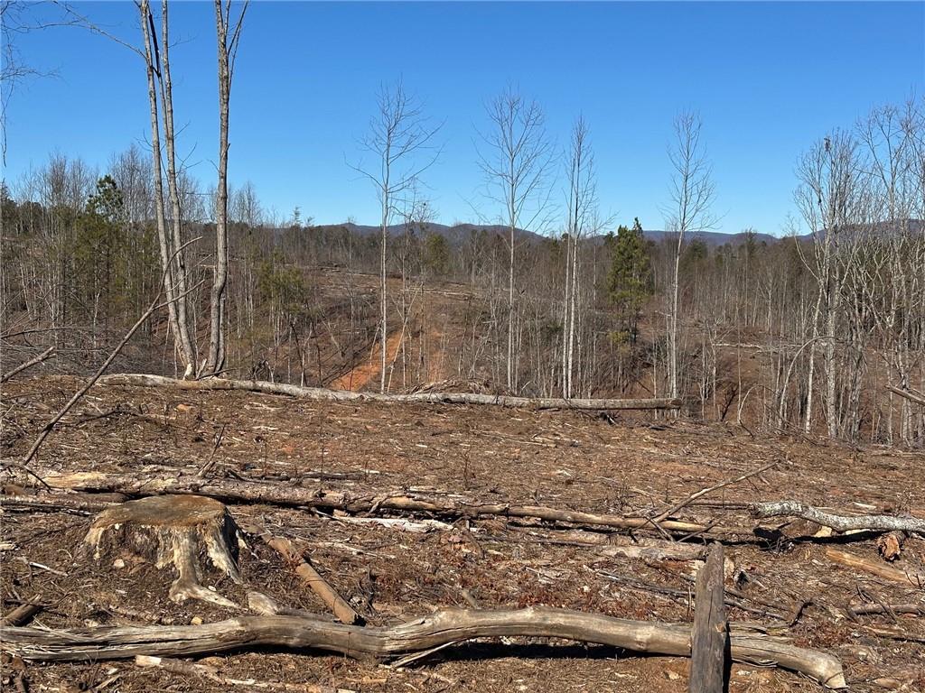 475 Larmon Forks Road Dahlonega, GA 30533 - Photo 10 of 16