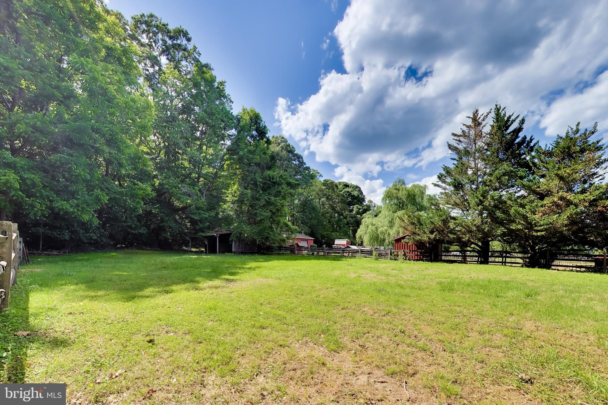 3240 Juniper Lane Huntingtown, MD 20639 - Photo 29 of 48 a view of a trees in a yard