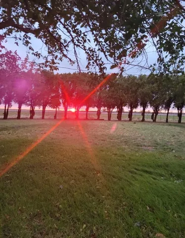 a view of road and trees