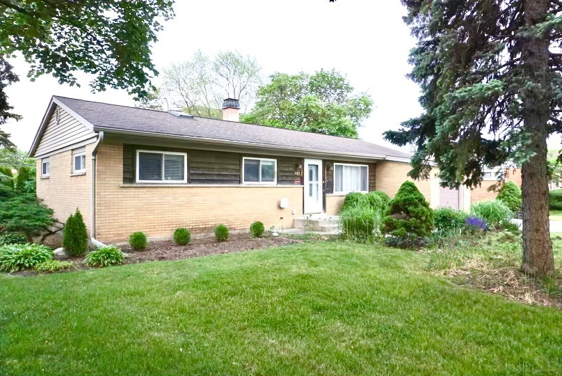 a backyard of a house with potted plants and large tree