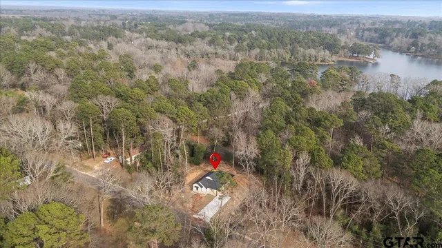 a view of a forest with a yard and large trees