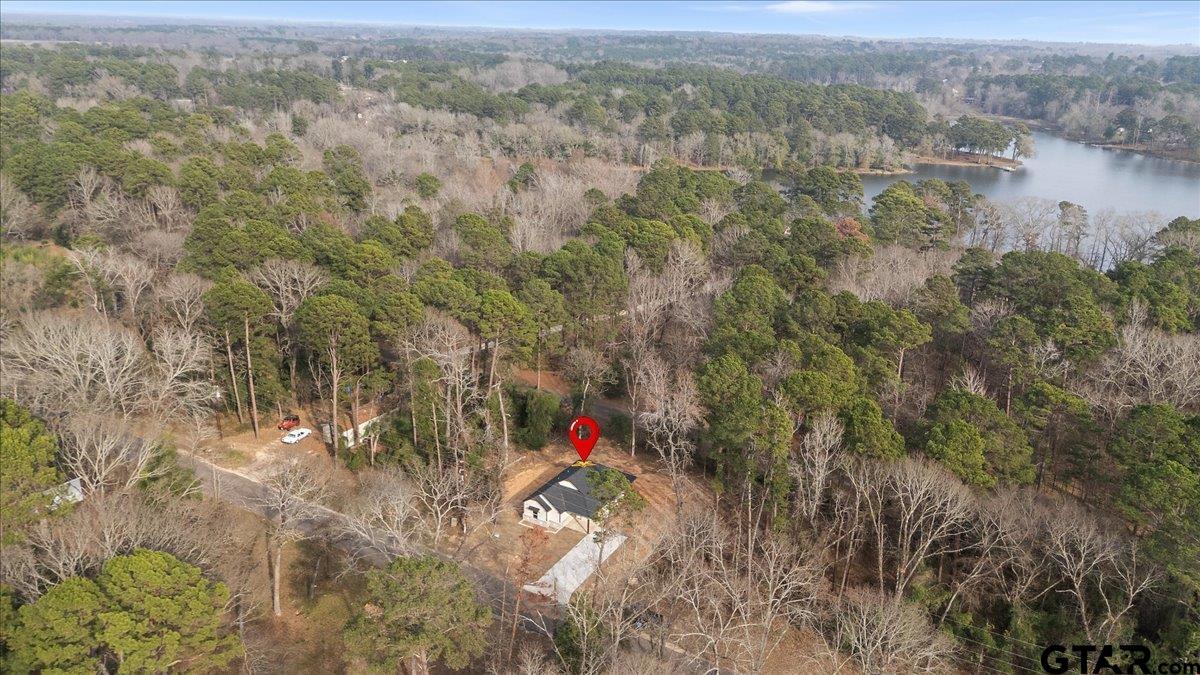 663 Caroline Bend Bullard, TX 75757 - Photo 34 of 36 a view of a forest with a yard and large trees
