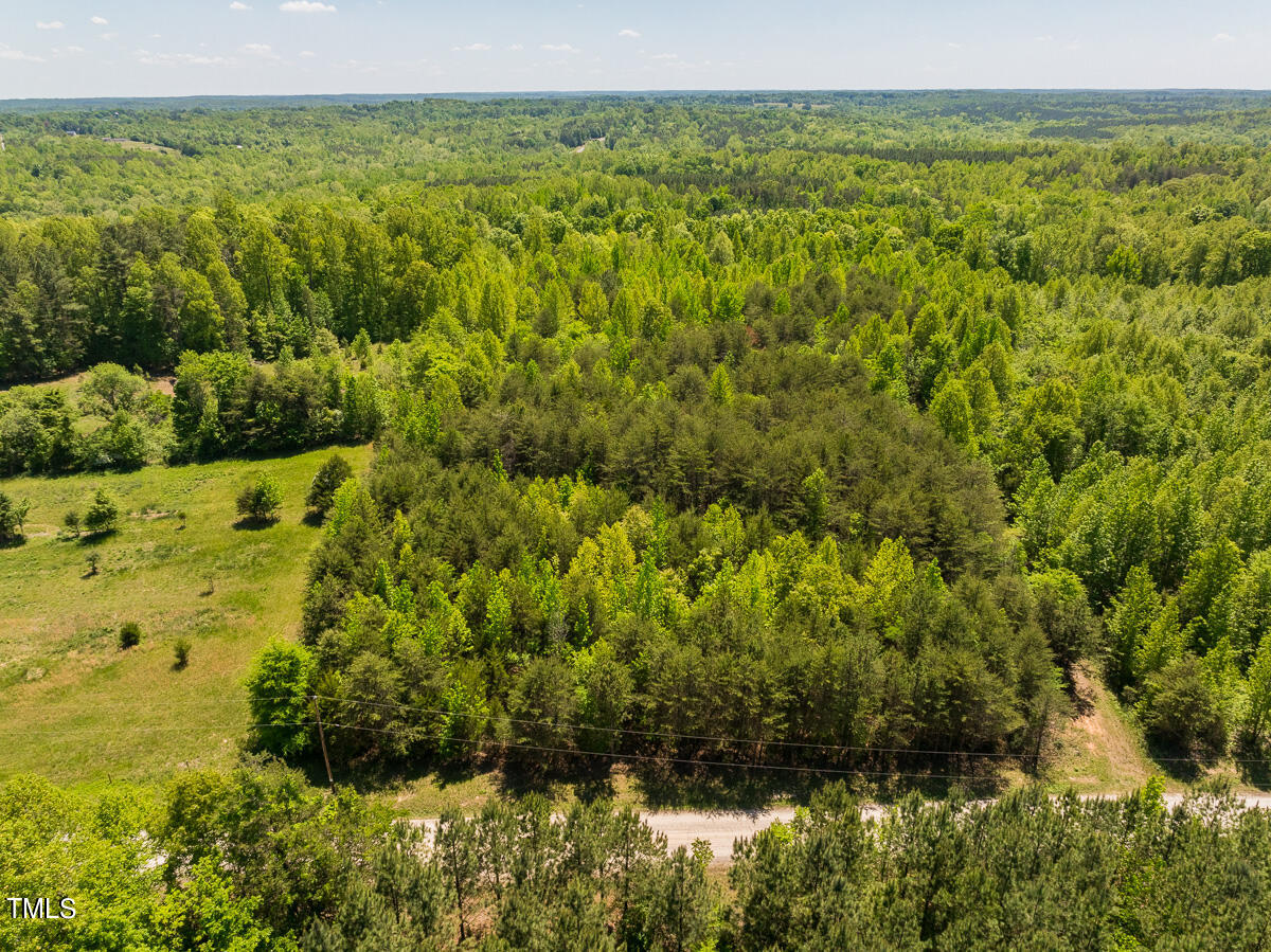 Lot-4-00 Wilson Road Providence, NC 27315 - Photo 35 of 38 Caswell Co. NC -Wilsons Ridge-Lot 4-35