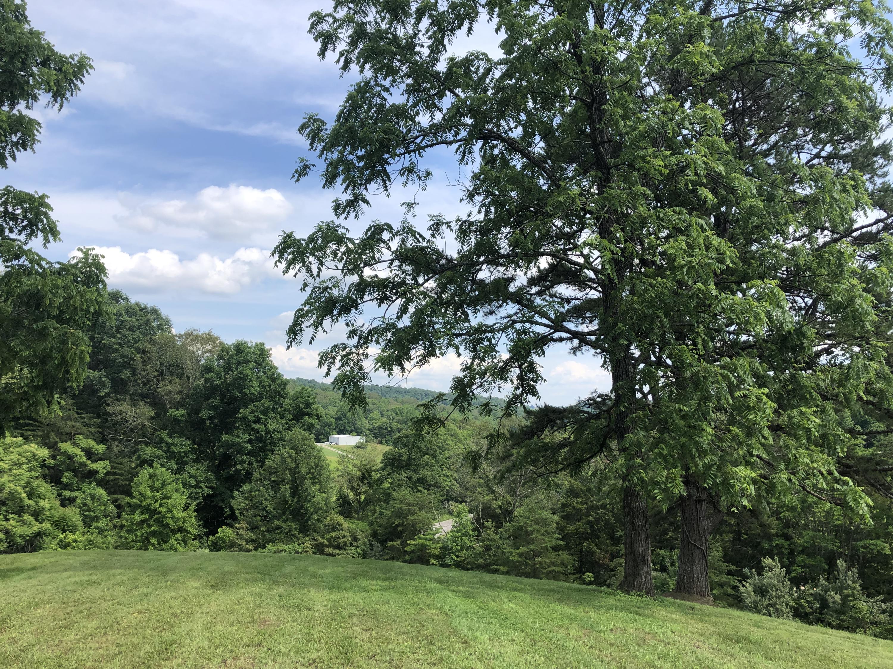 421 Greasy Hollow Road Speedwell, TN 37870 - Photo 4 of 17 235F352C-0E69-476E-AD5B-269C87FE6D63