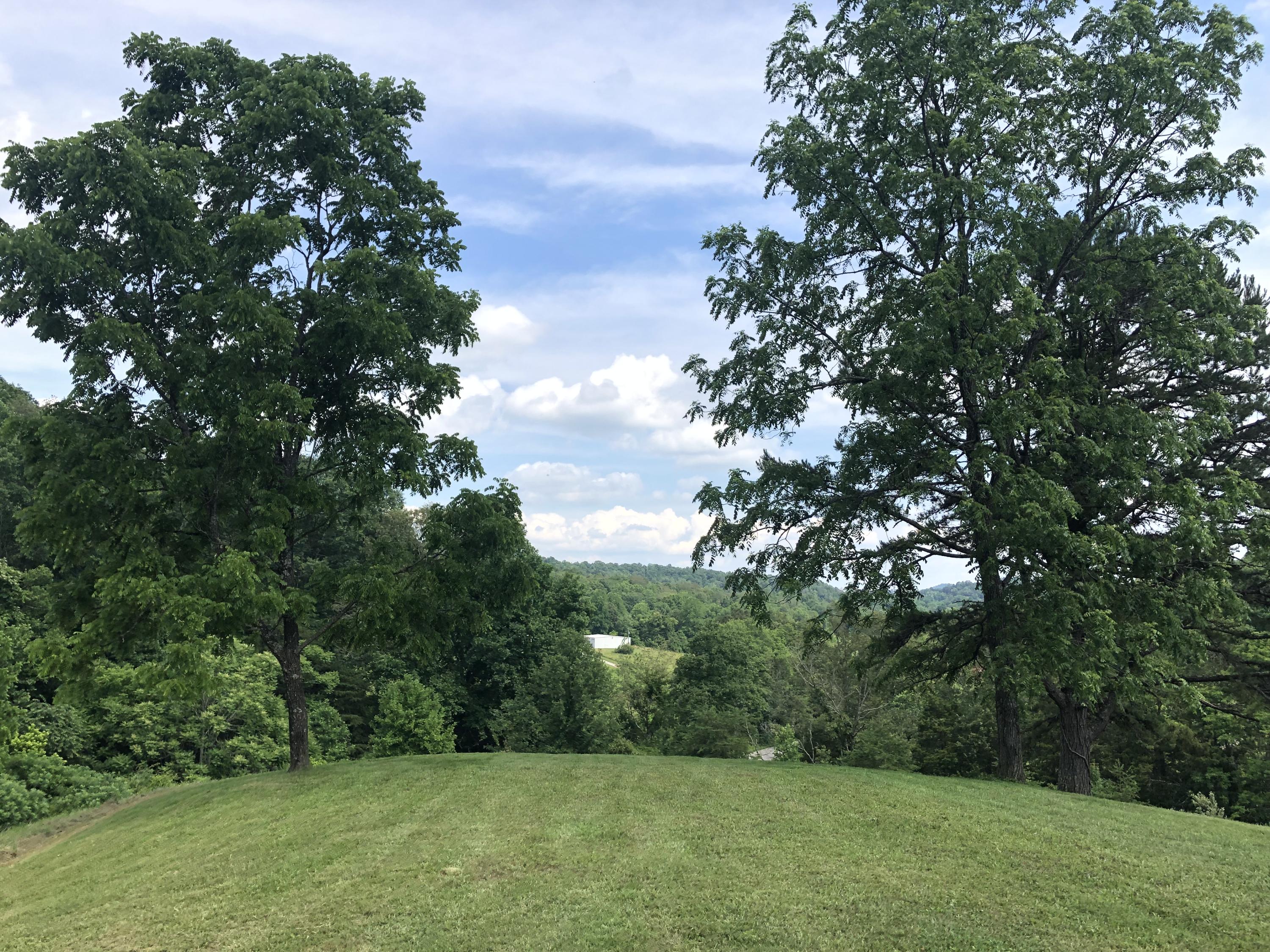 421 Greasy Hollow Road Speedwell, TN 37870 - Photo 5 of 17 A1FB257E-2EE1-4089-96F5-62A872169D67