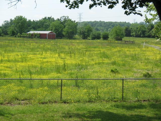 7435 Lebanon Road Mount Juliet, TN 37122 - Photo 18 of 20 View from your front porch....BARN perfect for hay, outdoor motor vehicles, tractor, sledding equipment, etc.