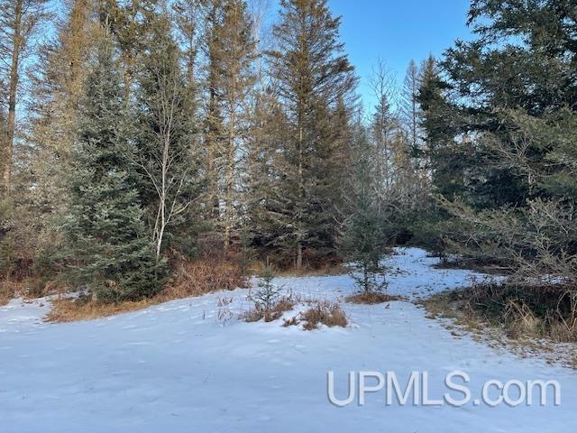 11812 East Howen Road Long Lake, WI 54542 - Photo 7 of 20