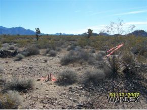 127 South Dennis Road Yucca, AZ 86438 - Photo 4 of 13 Desert Landscape