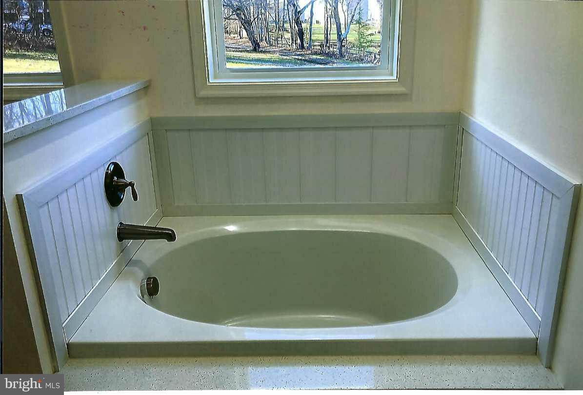 1089 Liberty Grove Road Conowingo, MD 21918 - Photo 18 of 24 Master Bath Soaking Tub