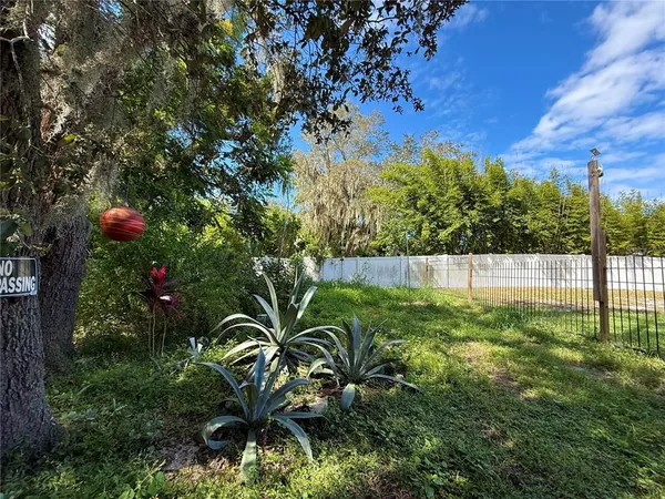 a view of a garden