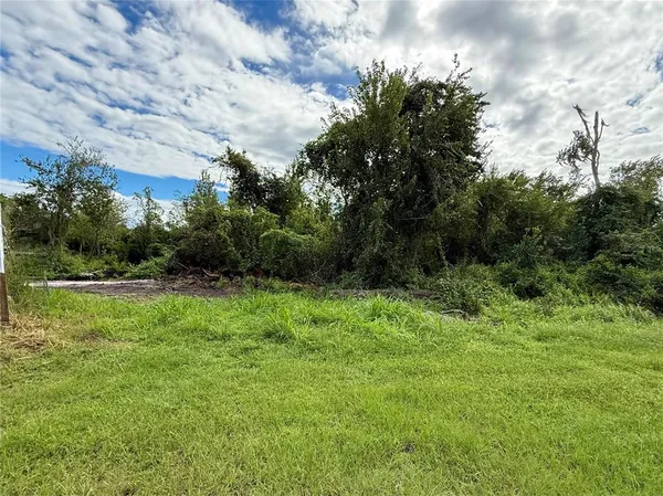 a view of backyard with green space