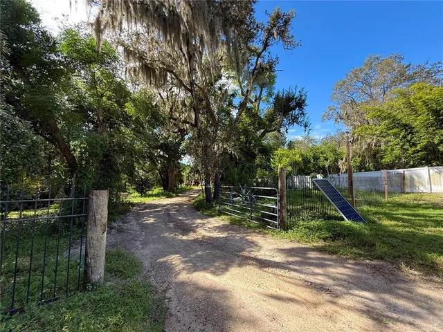 a view of a park with large trees