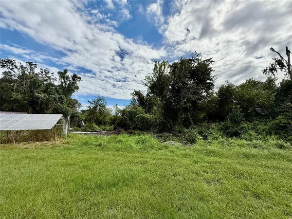 a view of a backyard