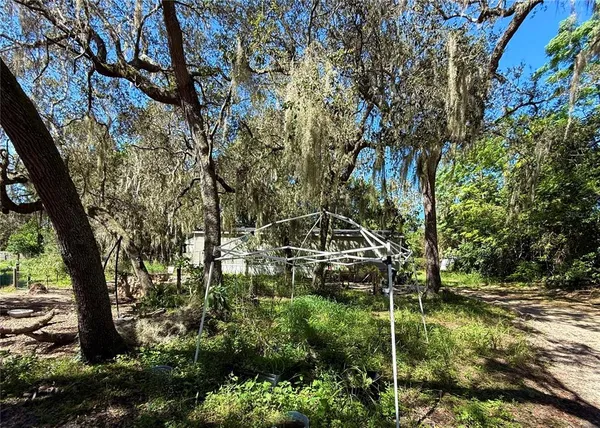 a view of a yard with large trees
