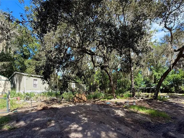 a view of backyard with green space