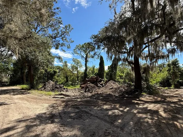 a view of outdoor space with trees