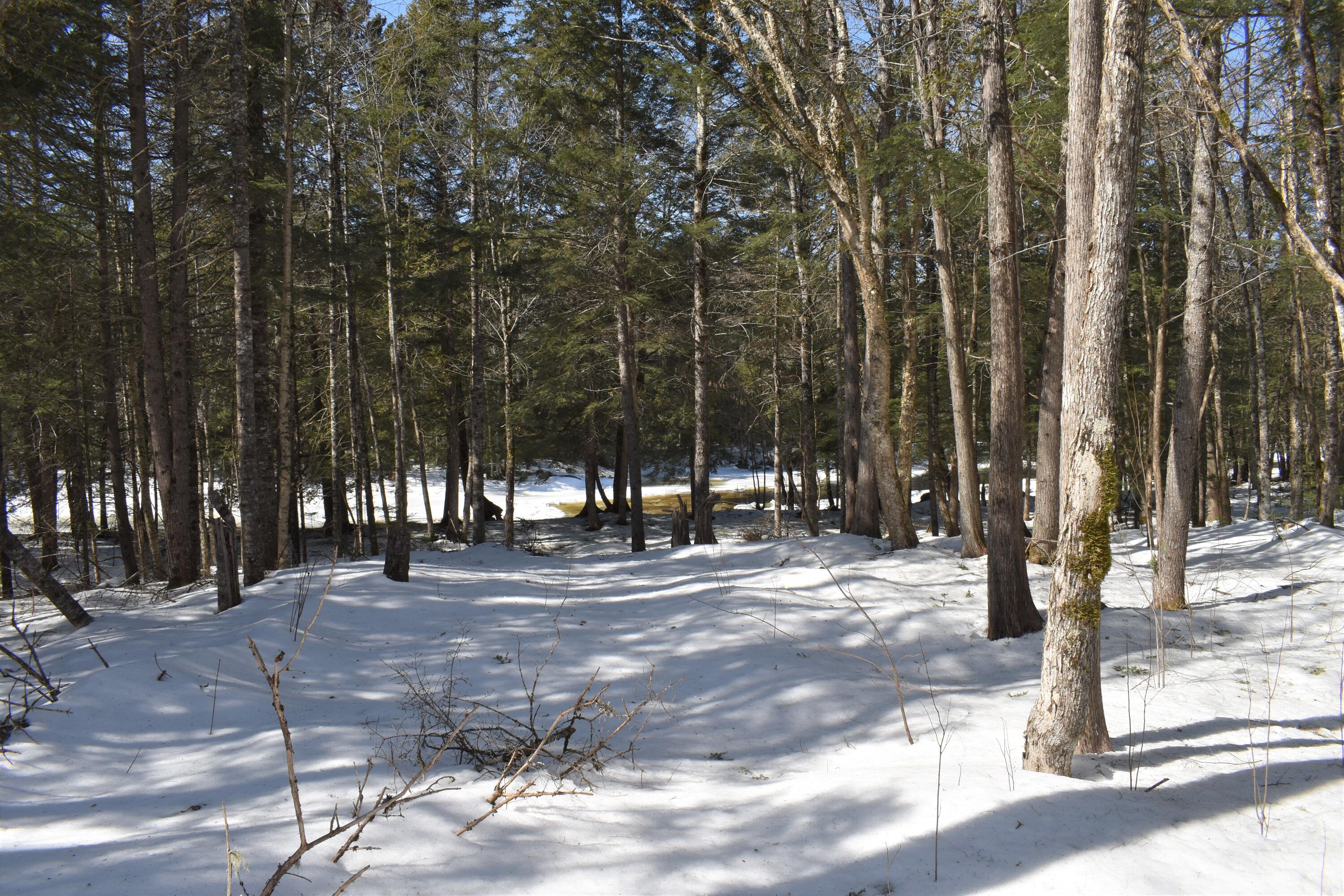 293 Silver Ridge Road Kingman, ME 04451 - Photo 32 of 43 DSC_0135