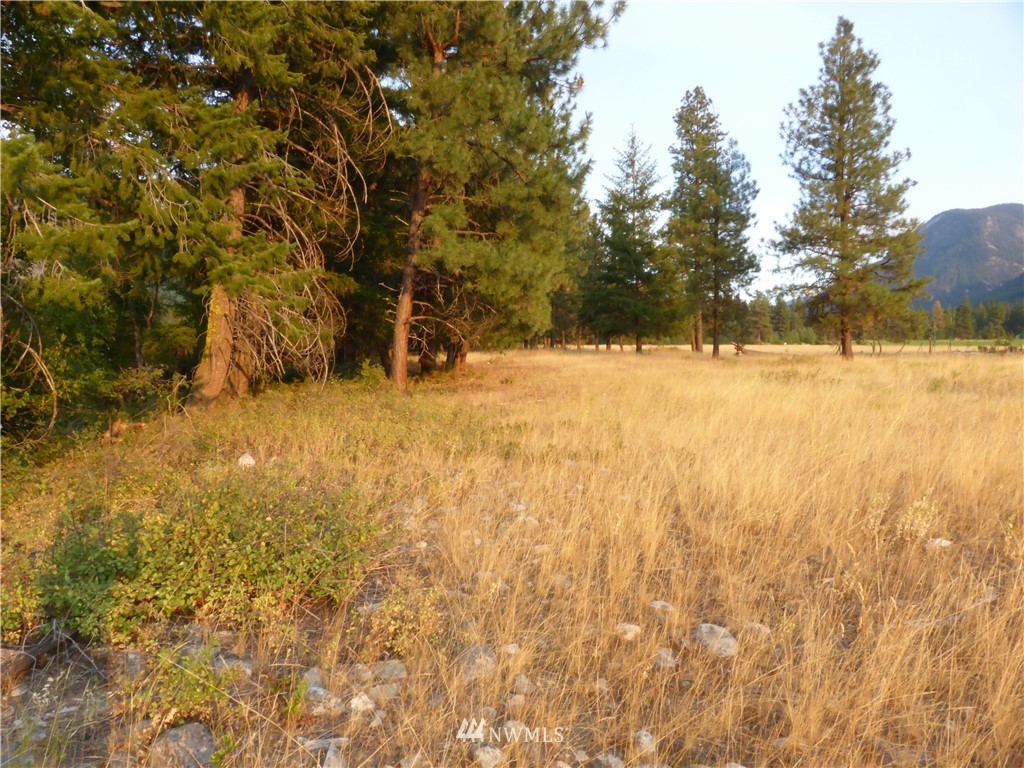 3 Patterson Road Winthrop, WA 98862 - Photo 19 of 25 Gallery Image 19