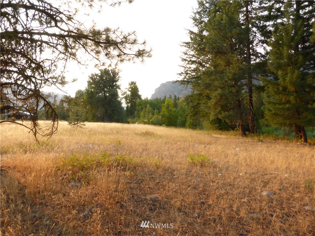 3 Patterson Road Winthrop, WA 98862 - Photo 20 of 25 Gallery Image 20