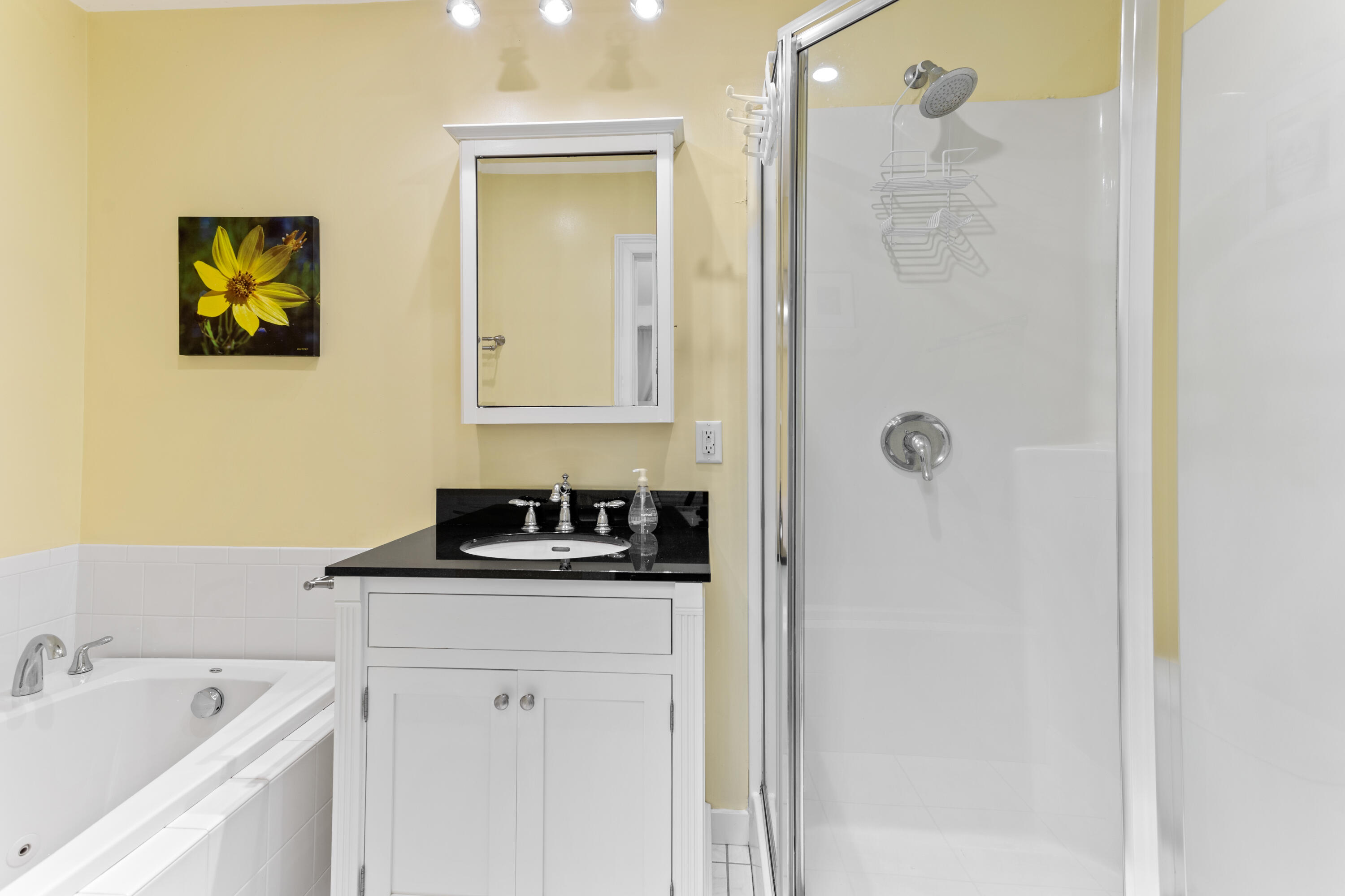 13 Johnny Cake Road Centerville, MA 02632 - Photo 31 of 40 a bathroom with a sink a mirror a vanity and shower