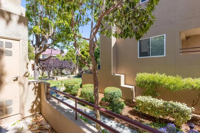 a couple of flower plants in front of a house